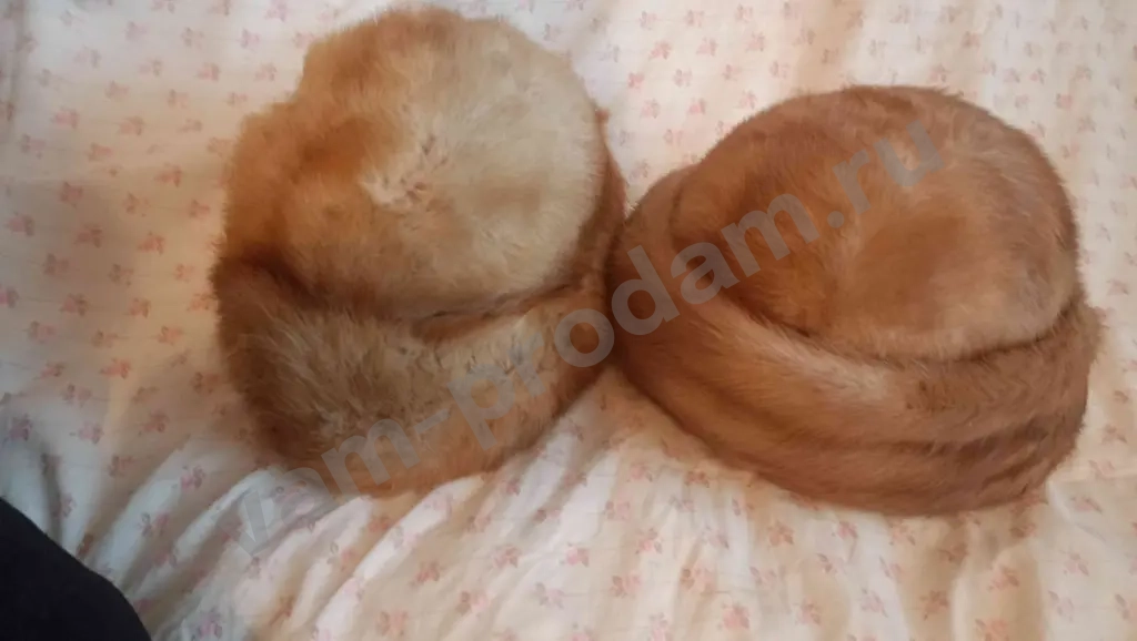 Шапки из норки