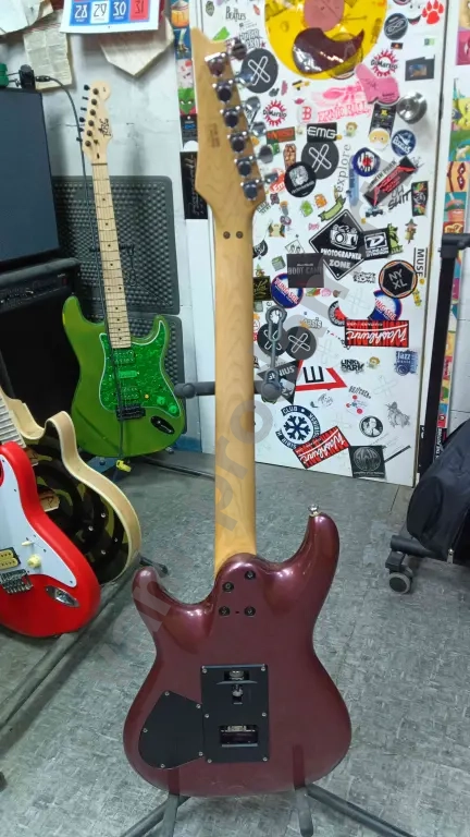 Электрогитара Ibanez Ergodyne