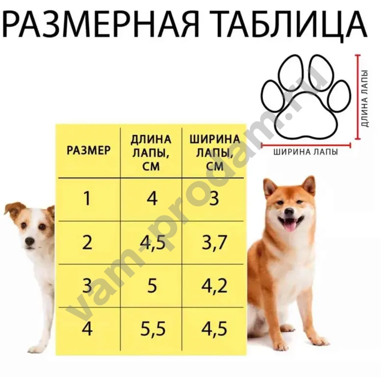 Обувь для собак