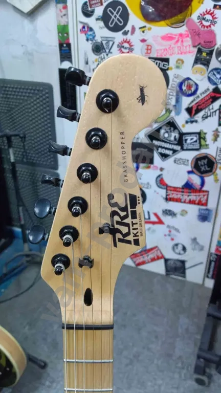 Электрогитара RREkit grasshopper