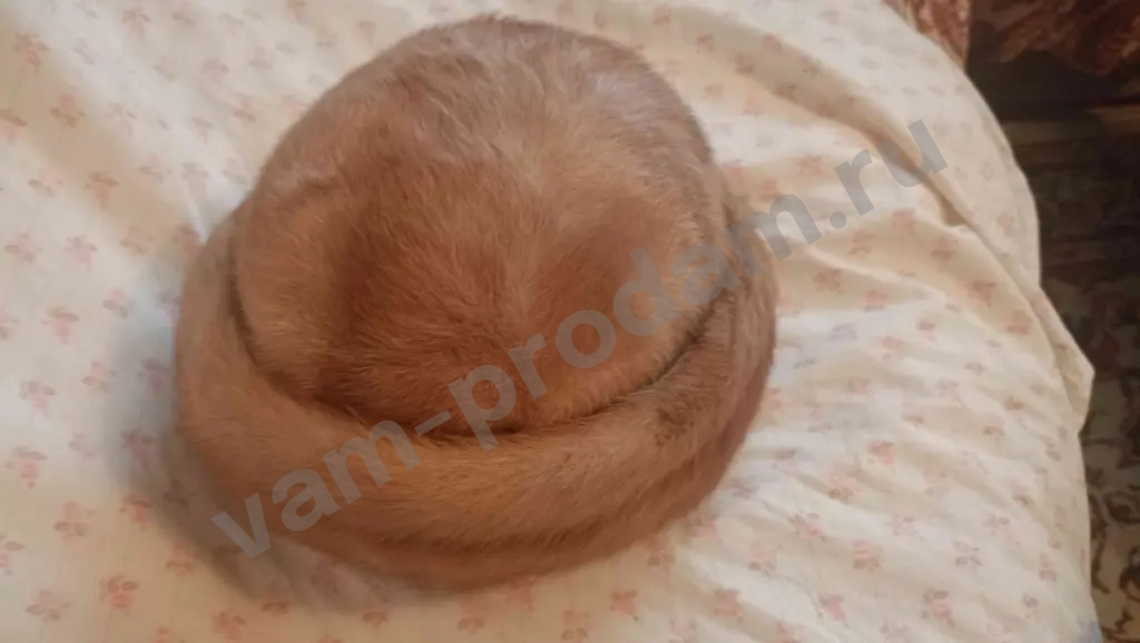 Шапки из норки