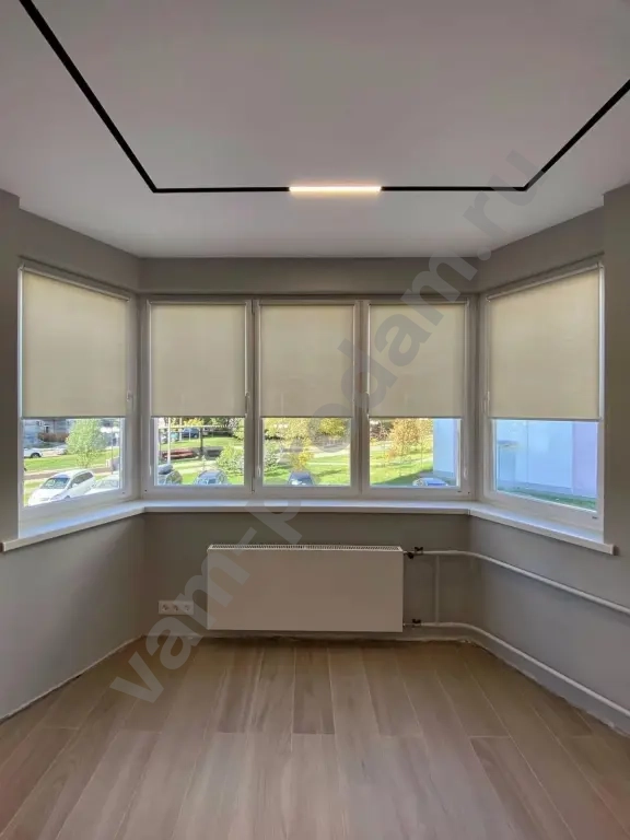 Рулонные шторы,день ночь,блэкаут,плиссе,двойные