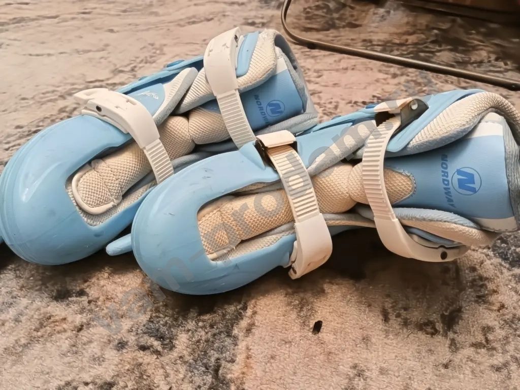 фигурное / хоккейное катание