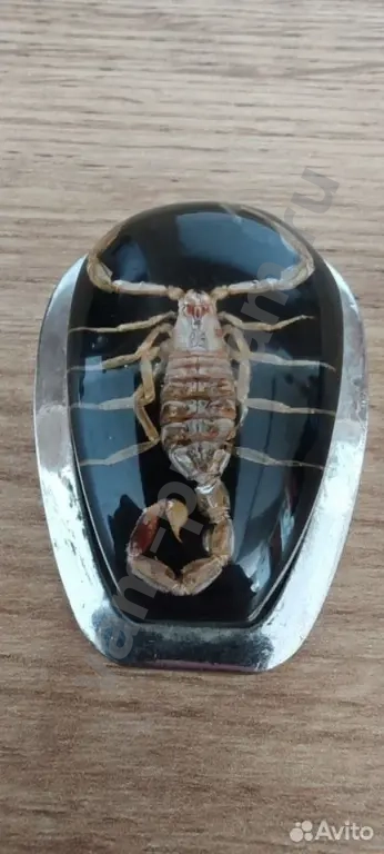 Кулон с настоящим скорпионом