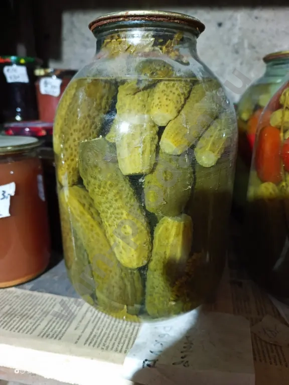 Огурцы маринованные домашние