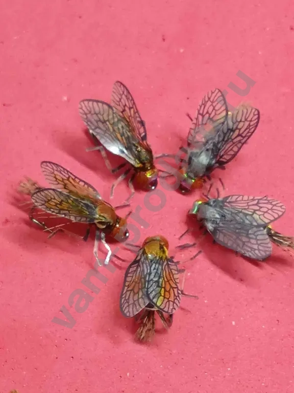 мушки рыболовные