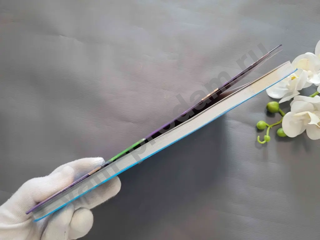 Всё о теле человека / Лайза Риган