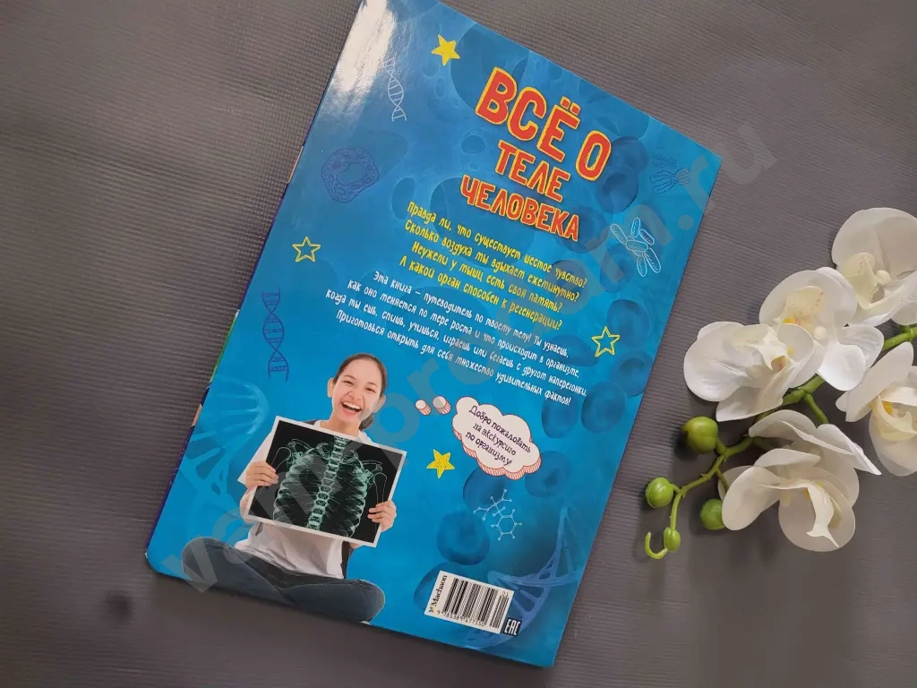 Всё о теле человека / Лайза Риган