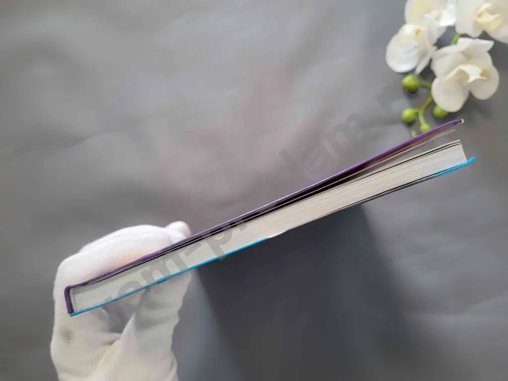 Всё о теле человека / Лайза Риган