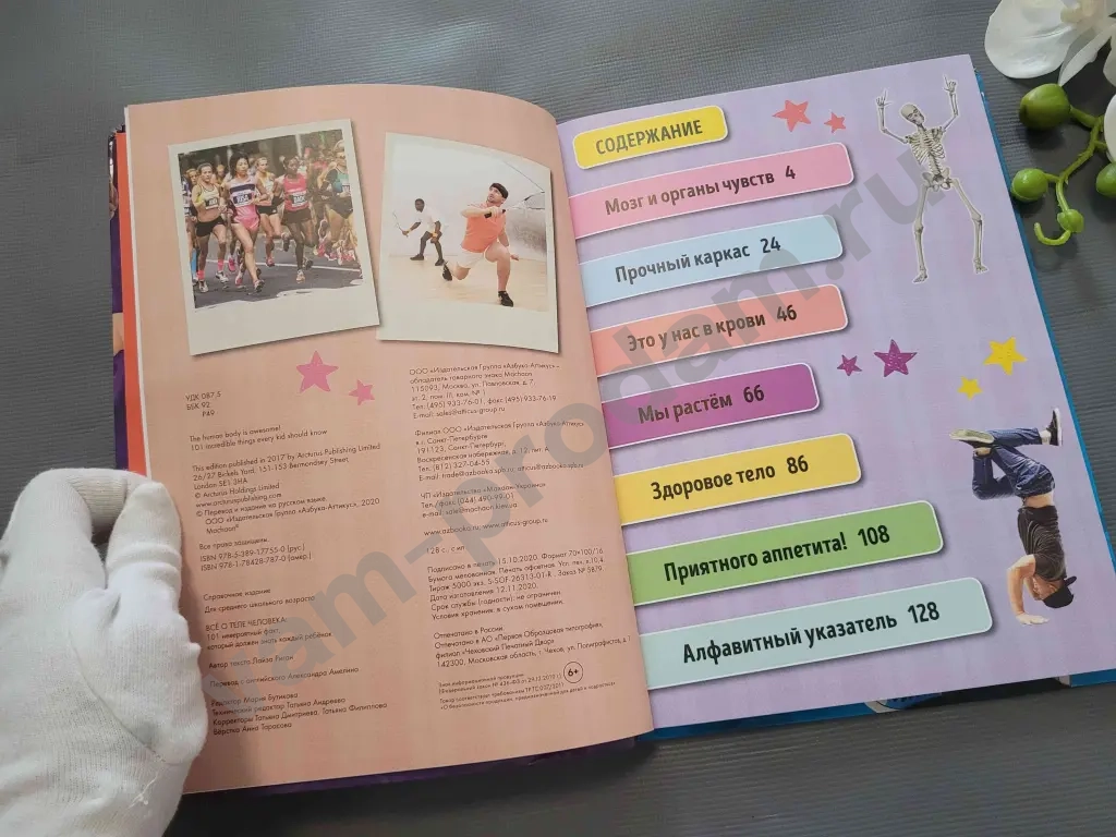 Всё о теле человека / Лайза Риган