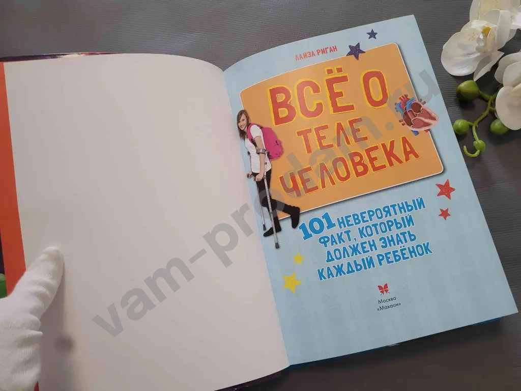 Всё о теле человека / Лайза Риган