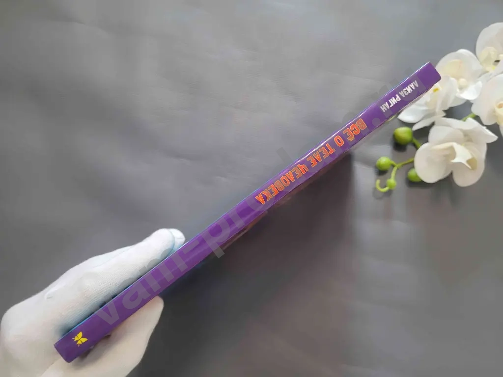 Всё о теле человека / Лайза Риган