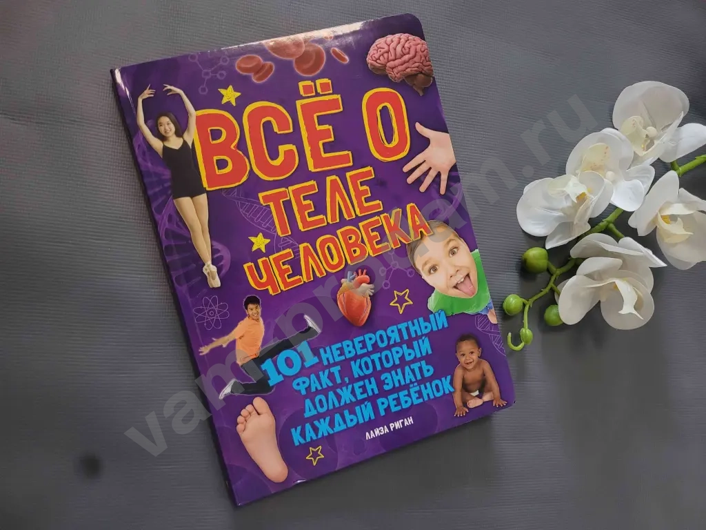 Всё о теле человека / Лайза Риган