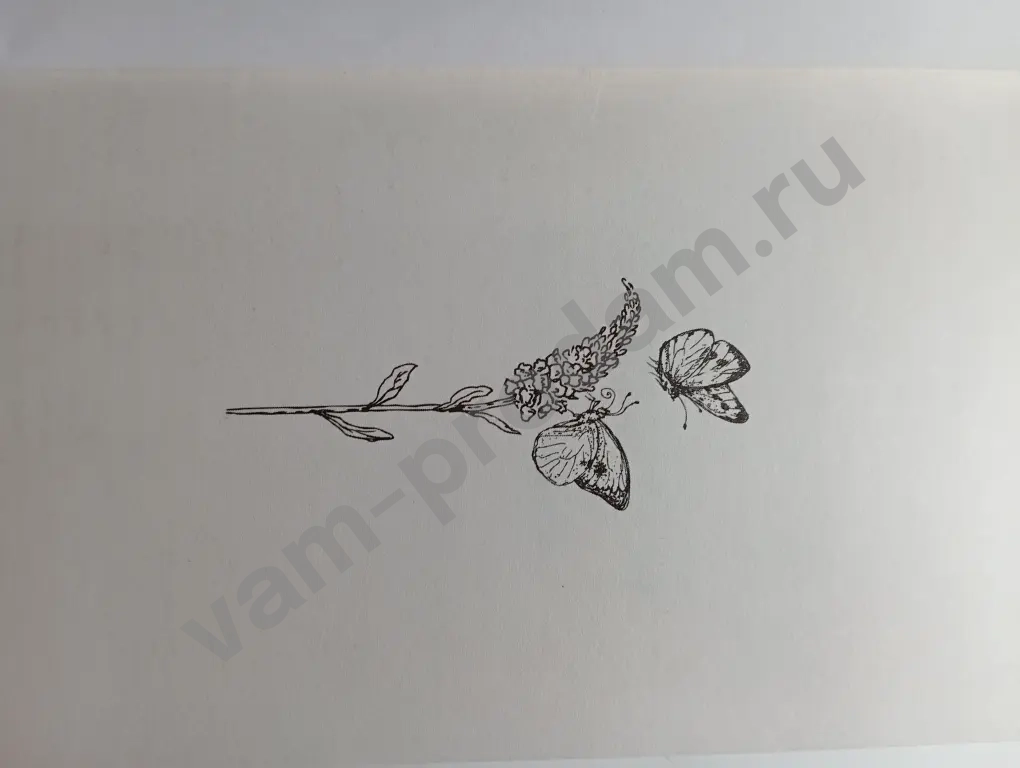 дилогия Ася Лавринович "не дружи со мной" и "не спасай меня"