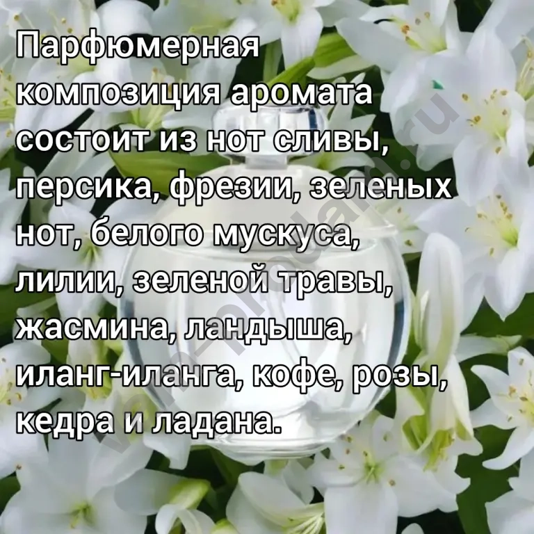 Cacharel Noa 25 мл женские духи