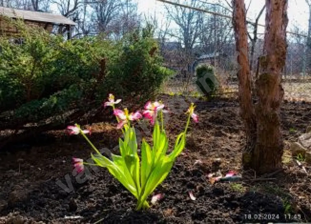 Дом 155.3 м² на участке 10 сот., Поселений (ИЖС)