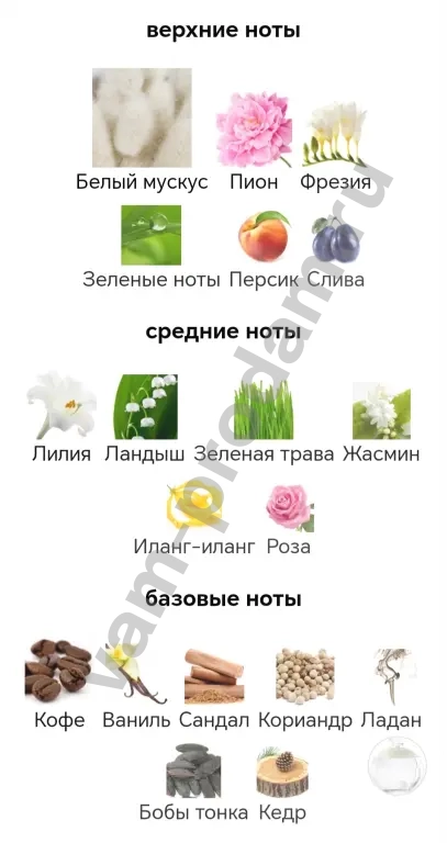 Cacharel Noa 25 мл женские духи