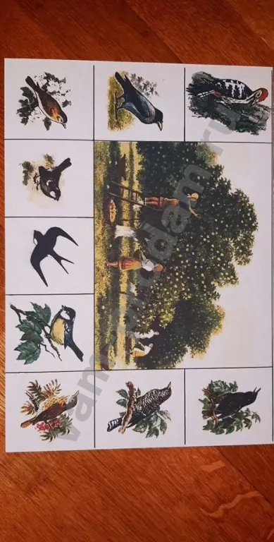 Новое Зоо лото Советская настольная игра