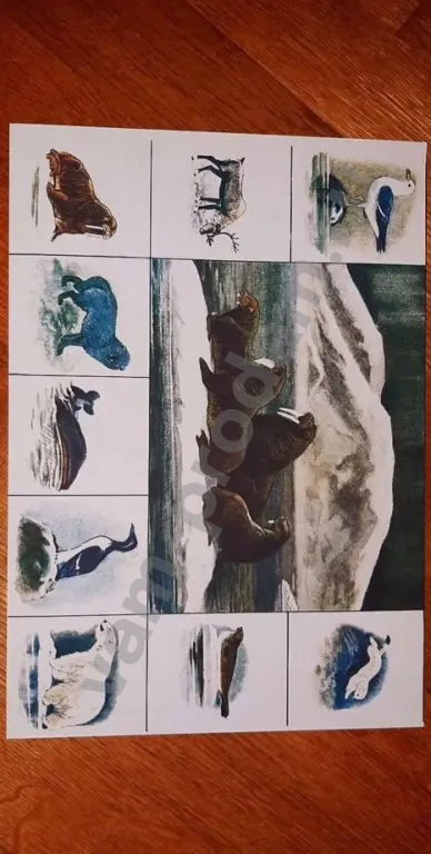 Новое Зоо лото Советская настольная игра