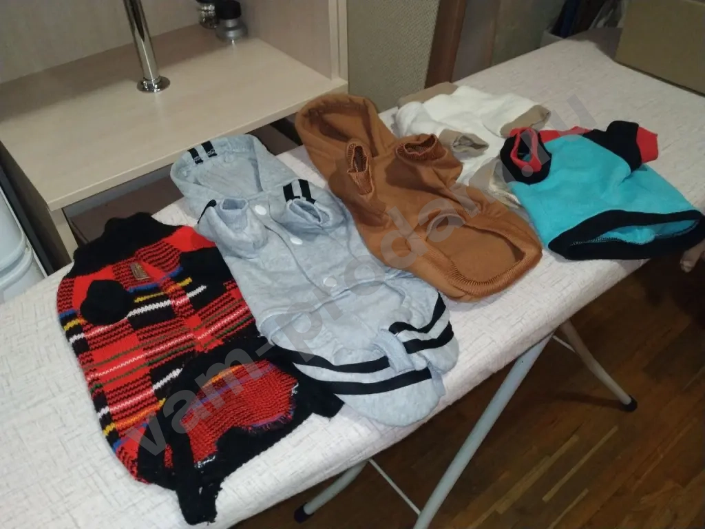 Одежда для собак мелких пород (за всё)