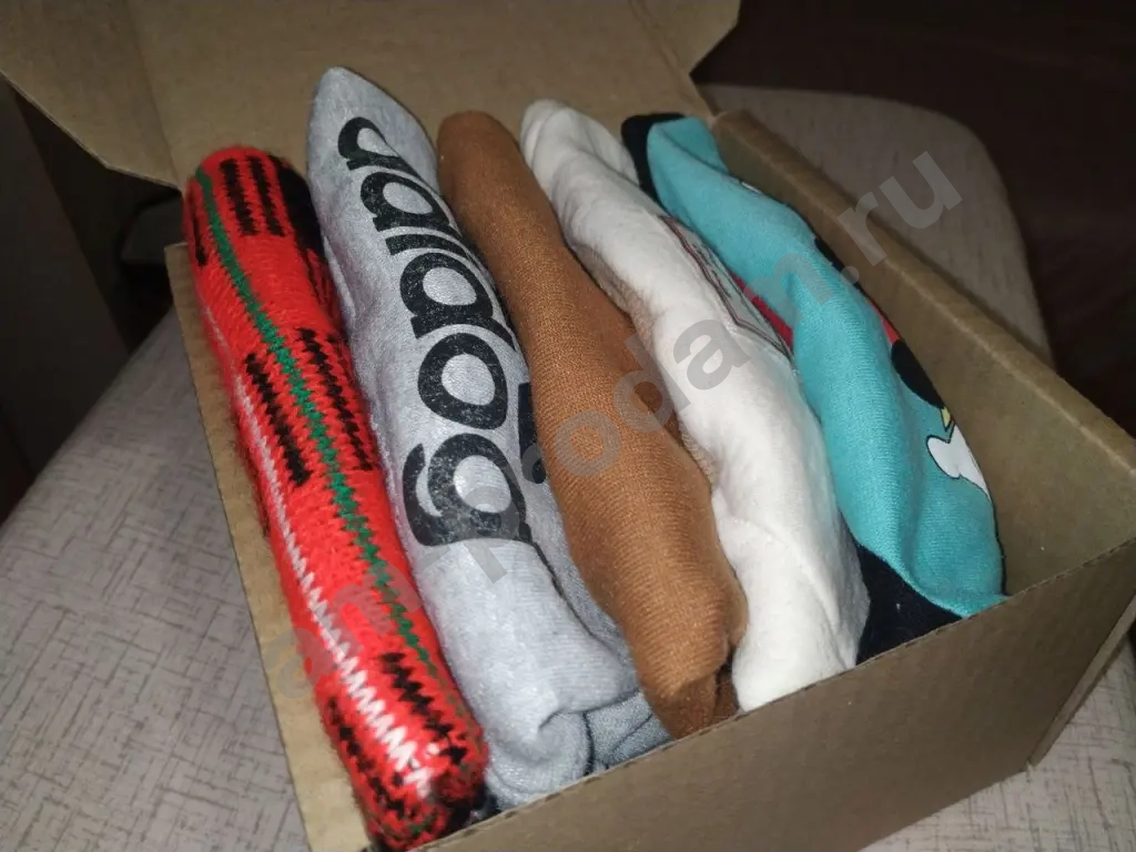 Одежда для собак мелких пород (за всё)