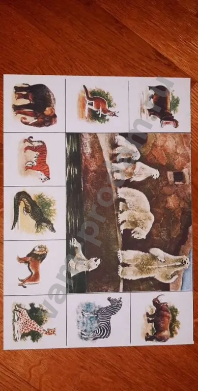 Новое Зоо лото Советская настольная игра