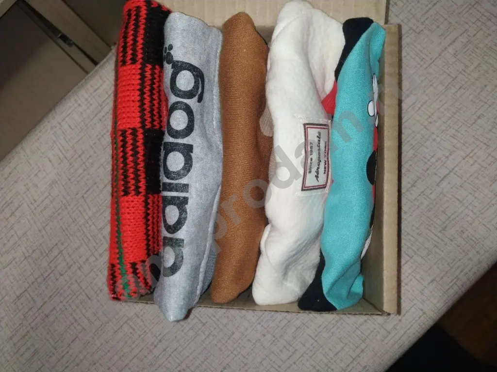 Одежда для собак мелких пород (за всё)