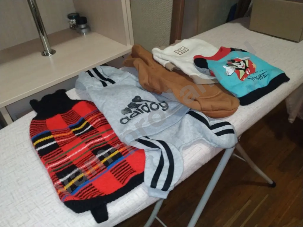 Одежда для собак мелких пород (за всё)