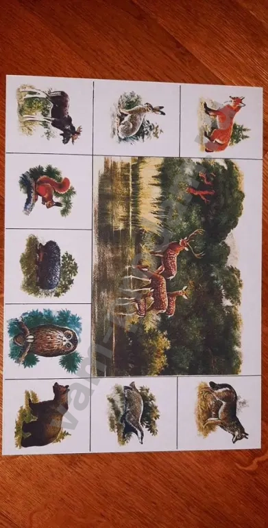 Новое Зоо лото Советская настольная игра