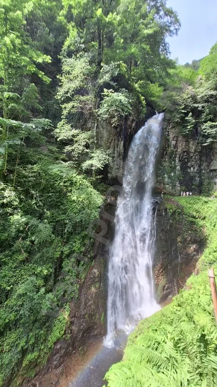 Абхазия* Три прекрасных дня *10-11-12 Апреля*