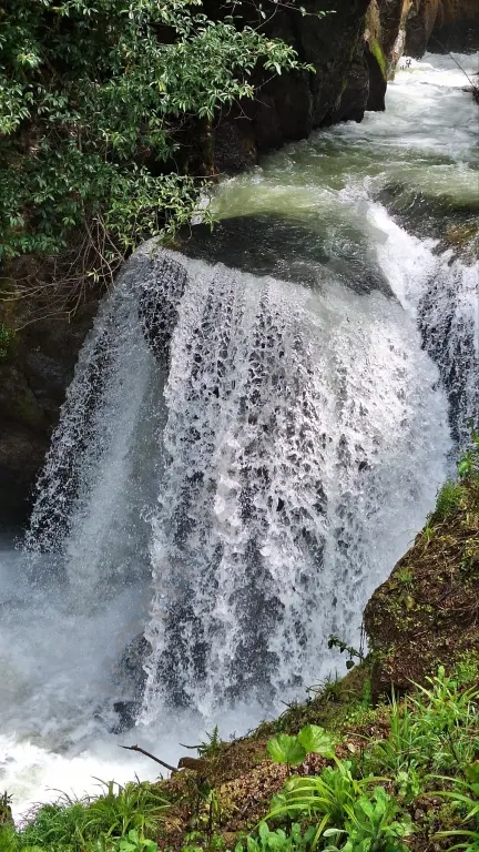 Абхазия* Три прекрасных дня *10-11-12 Апреля*