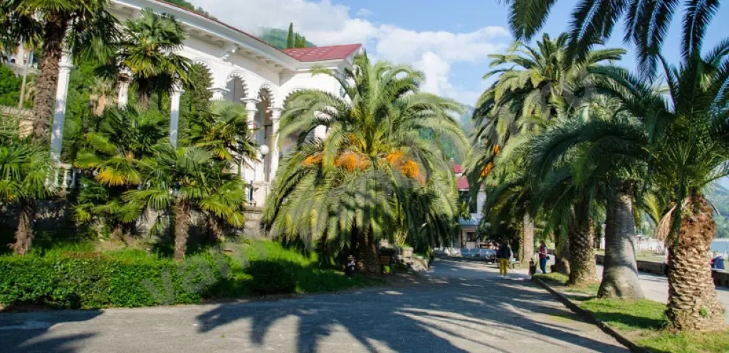 Абхазия* Три прекрасных дня *10-11-12 Апреля*