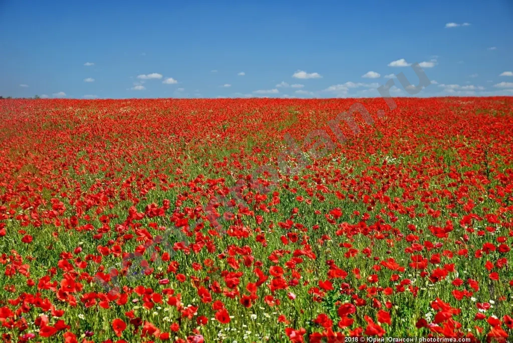 Восточный крым 9-10-11 Мая