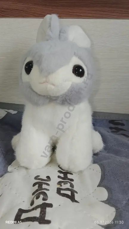 заяц