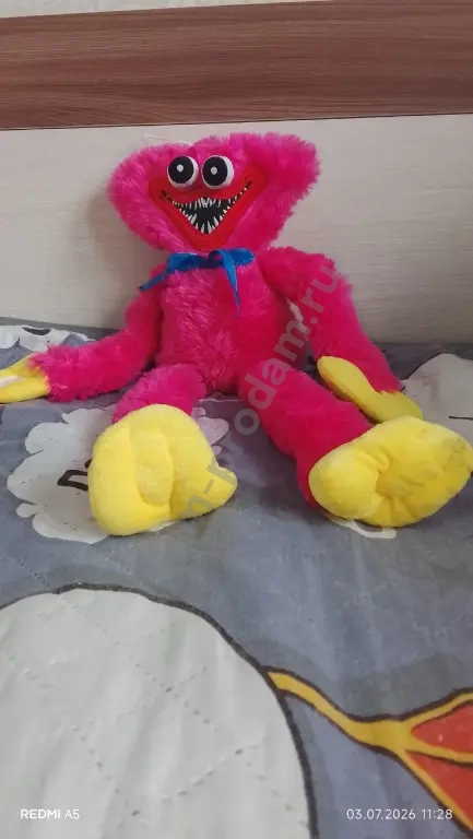 киси миси
