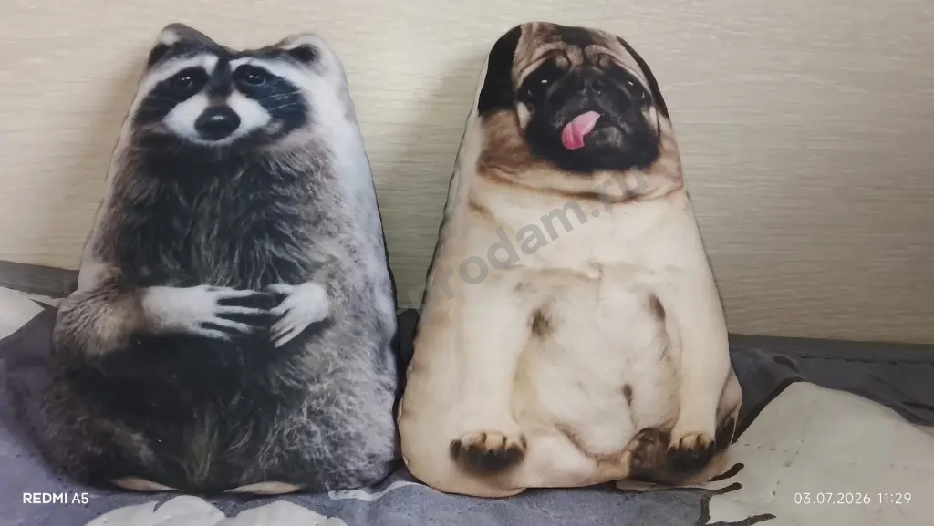енот и мопс
