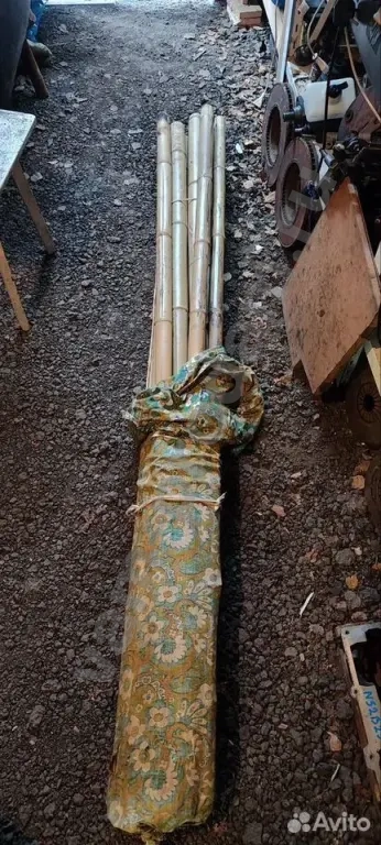 Стебель ствол бамбука