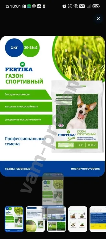 газон спорт