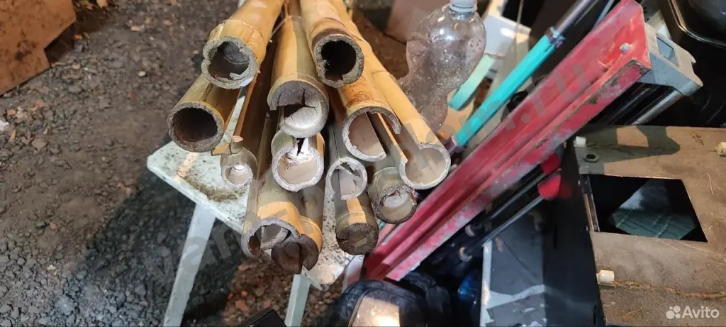 Стебель ствол бамбука