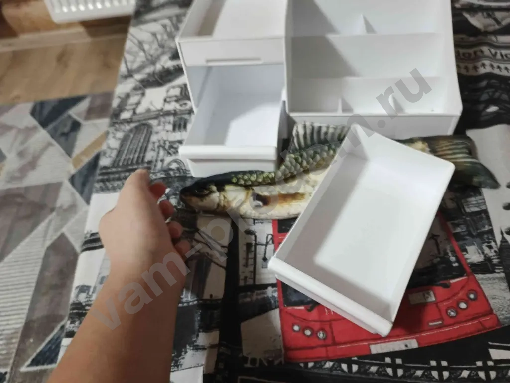 Пенал рыба и органайзер