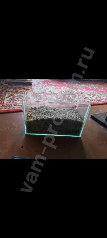 Аквариум 5 л. с крышкой.