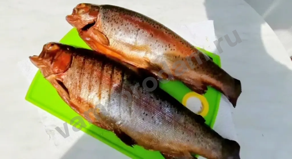 рыба , курица копченая , шашлык