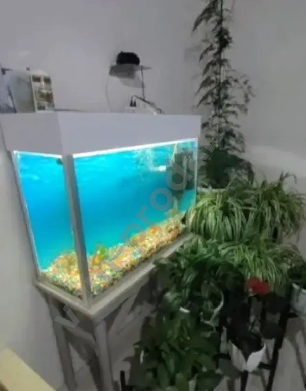 Аквариум +подставка