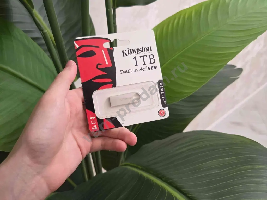 USB флешка Kingston 1 ТБ. DataTraveler SE9. Огромный объём! 499₽ 🔥
