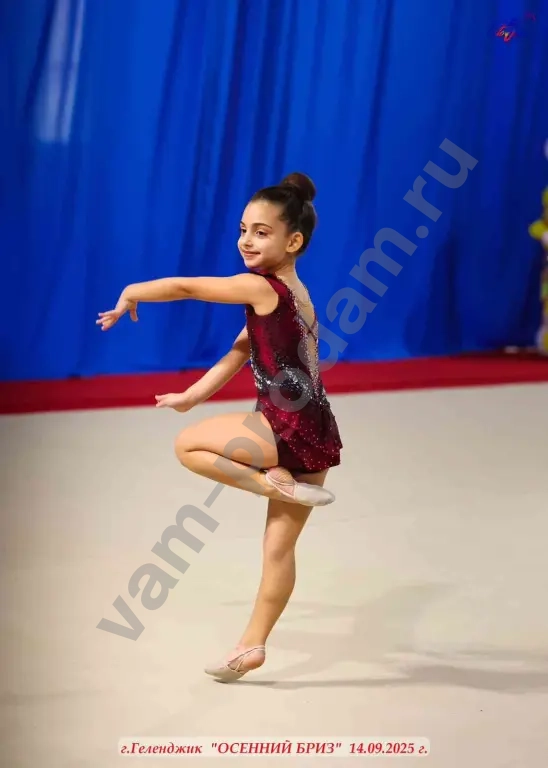 Купальник для художественной гимнастики