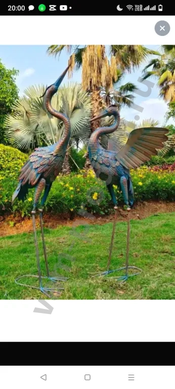 фламинго пара птиц